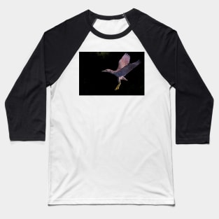 Juvenile Black-crowned Night Heron Baseball T-Shirt